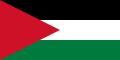 Flag of Palestine - long triangle