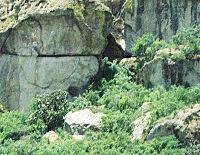 Archivo:Guila Naquitz cave