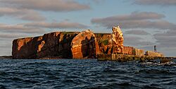 Helgoland 2909.jpg