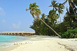 Archivo:Kaafu Atoll, Maldives - panoramio (14)