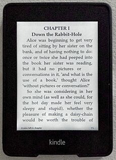 Archivo:Kindle Paperwhite WiFi