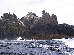 Archivo:Little Skellig