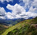 MachuColca Nuevo