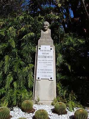 Archivo:Monumento José Celestino Mutis, Parque Genovés, Cádiz 2