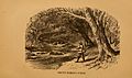 Natural history of western wild animals and guide for hunters, trappers, and sportsmen (Pl. XIX) (8465260282)