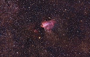 Archivo:Nebulosa Omega o M 17