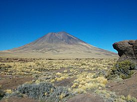 Payún Liso Volcan - panoramio.jpg