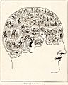 PhrenologyPix