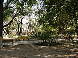 Plaza de Minero - panoramio.jpg