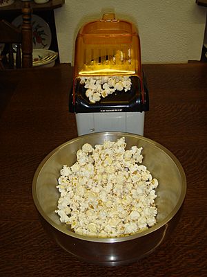 Archivo:Popcornmaker