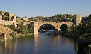 Archivo:Puente de san Martín - 03