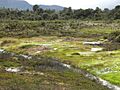 Purace National Parc (Columbia 5)