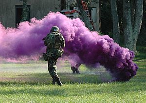 Archivo:Purple smoke grenade