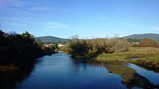 Río Tamuxe, o Rosal