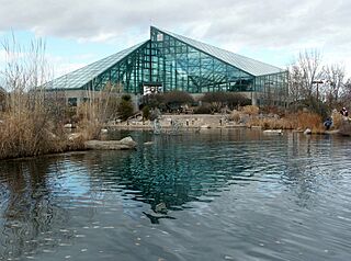 Rio Grande Botanical Garden Pond.jpg