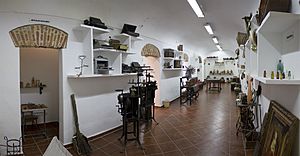 Archivo:Sala Museo Etnográfico