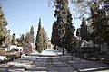 Servicios Funerarios de Madrid amplía su programa cultural con visitas nocturnas teatralizadas al Cementerio Civil 03