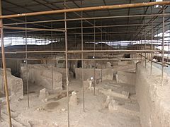 Shadiyakh excavation0