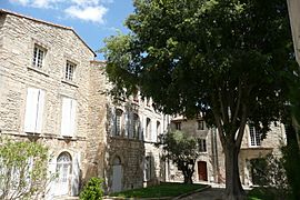 Tarascon (Bouches-du-Rhône) d.JPG