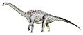 Tastavinsaurus BW