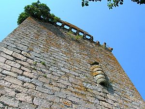 Archivo:Torre de Castroverde detalle