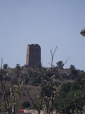 Archivo:Torre de Montroi 02