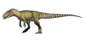 Archivo:Torvosaurus tanneri Reconstruction