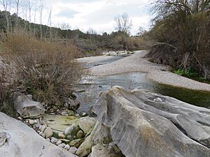 Archivo:Tramo del río Matarraña, afluente de la margen derecha del río Ebro (Torre del Compte, Teruel, España)