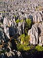 Tsingy de Bemaraha