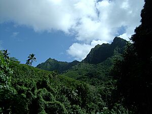 Archivo:Turangi Valley, Rarotonga, Cook Islands