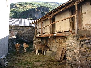 Archivo:Vegapujín Casa