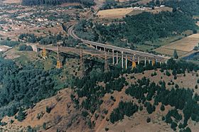 Viaducto del Río Malleco.jpg