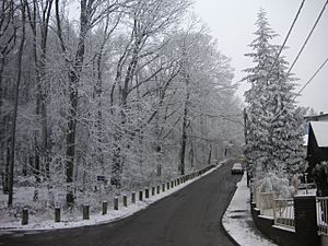 Archivo:Vienna Woods in winter