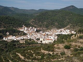 Vista global de Montán.jpg