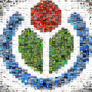 Archivo:WikimediaMosaicCapture