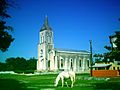 Xcunyá (Mérida), Yucatán (15)