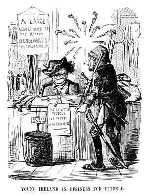 Archivo:Young Ireland in Business for Himself - Punch (22 August 1846)