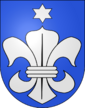 Zumholz-coat of arms.svg