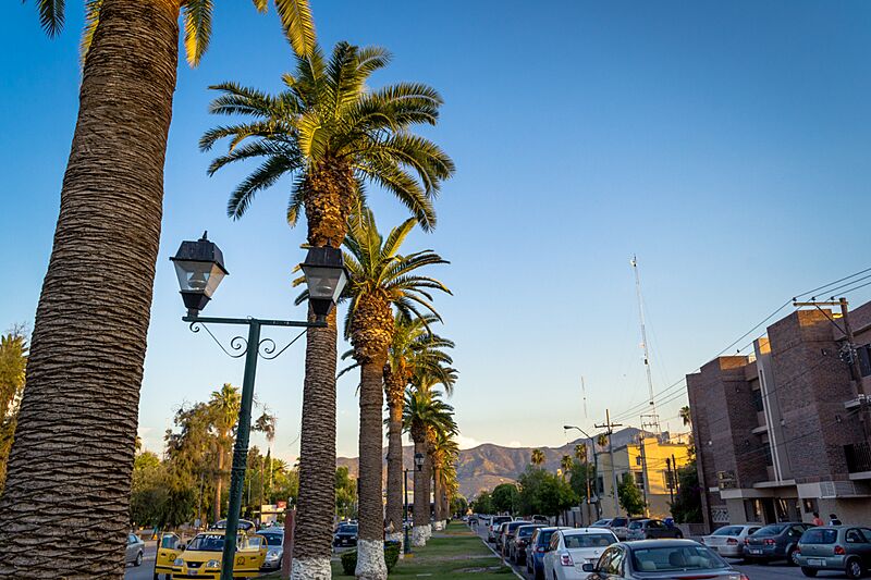 Alameda Ignacio Zaragoza 03