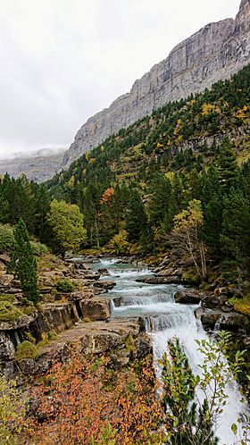 Archivo:Arazas river fall 3, Ordesa y Monte Perdido National Park, Spain