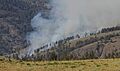 Blacktail Fire (7562430032)