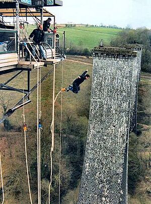 Archivo:Bungie-Jumping