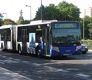 Archivo:Bus 223 Auvasa