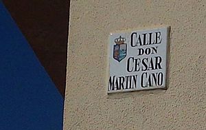 Archivo:Calle César Martín Cano