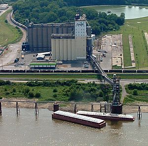 Archivo:Cargill grain elevator and terminal