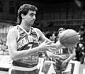 Carlos cerutti