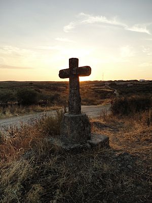 Archivo:Cruz de la Ansomá Montehermoso