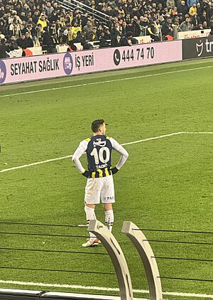 Archivo:Dušan Tadić, Fenerbahçe v. Ankaragücü