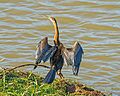 ET Bahir Dar asv2018-02 img08 Blue Nile at the bridge