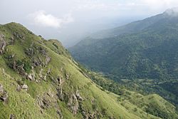 Ella Gap (Valley), Sri Lanka.jpg